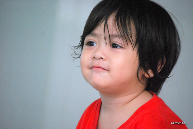 ชื่อ:  DSC_1093.JPG
ครั้ง: 255
ขนาด:  85.3 กิโลไบต์