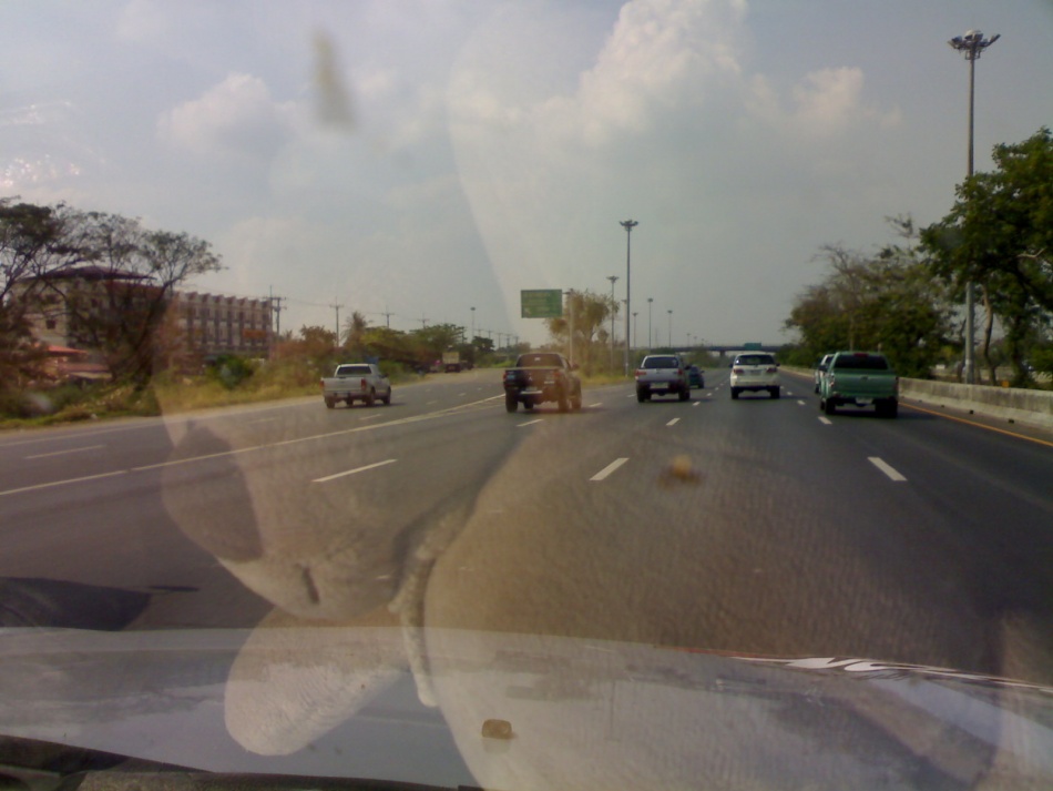 ชื่อ:  060420121079.jpg
ครั้ง: 2622
ขนาด:  139.7 กิโลไบต์