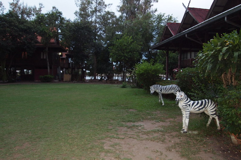 ชื่อ:  P4164804-1.jpg
ครั้ง: 851
ขนาด:  167.7 กิโลไบต์