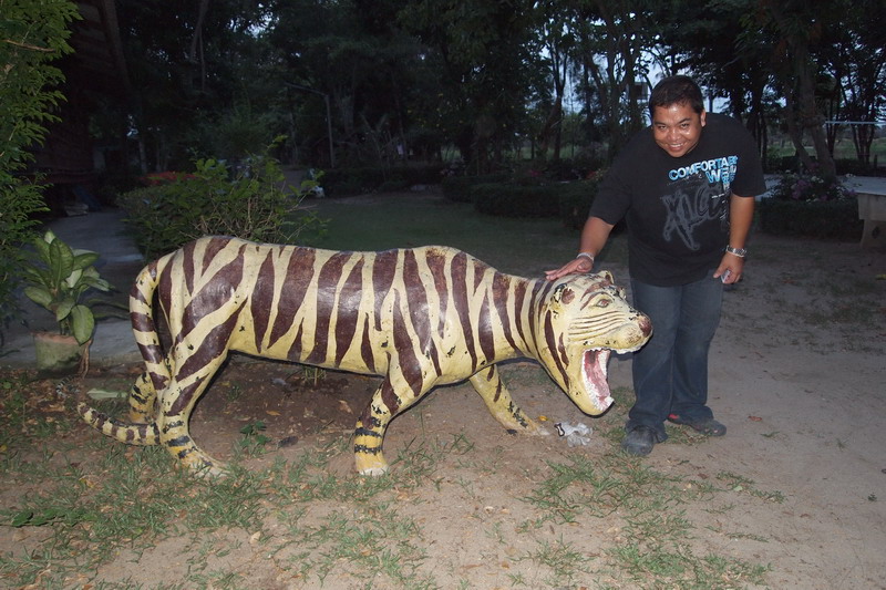 ชื่อ:  P4164817-1.jpg
ครั้ง: 895
ขนาด:  177.1 กิโลไบต์