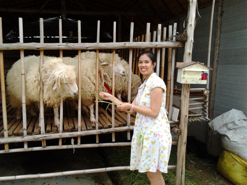 ชื่อ:  2012-04-14 14.15.30.jpg
ครั้ง: 414
ขนาด:  248.6 กิโลไบต์