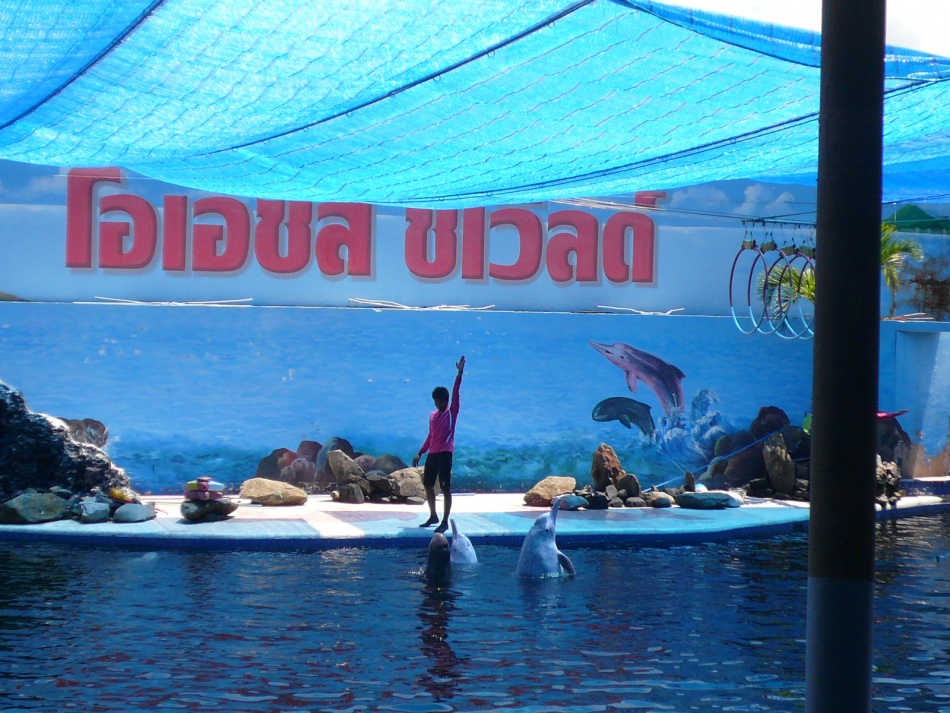 ชื่อ:  P1100046.jpg
ครั้ง: 499
ขนาด:  286.3 กิโลไบต์