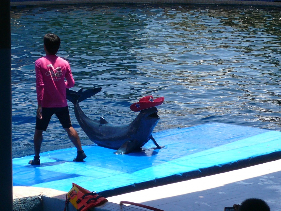 ชื่อ:  P1100104.jpg
ครั้ง: 427
ขนาด:  307.4 กิโลไบต์