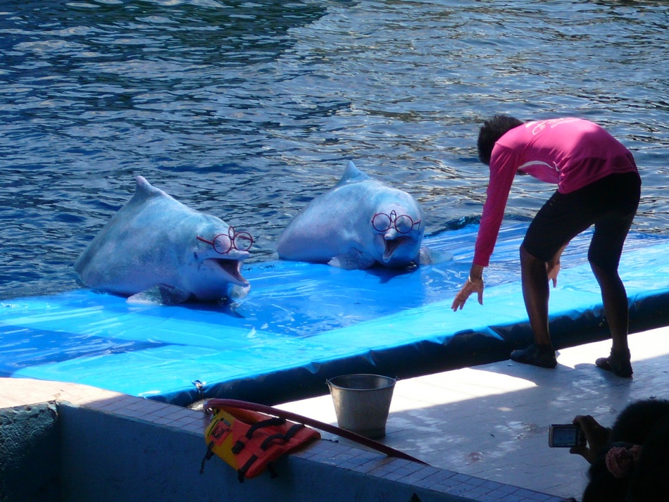ชื่อ:  P1100110.jpg
ครั้ง: 433
ขนาด:  296.1 กิโลไบต์