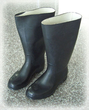 ชื่อ:  boot4.jpg
ครั้ง: 558
ขนาด:  47.5 กิโลไบต์