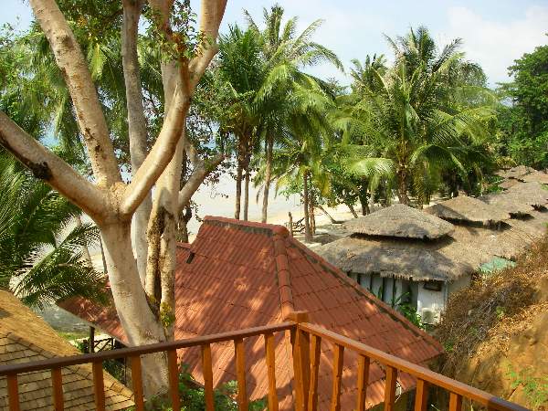ชื่อ:  beach-villa-view-of-byyb-bungalows.jpg
ครั้ง: 284
ขนาด:  127.1 กิโลไบต์