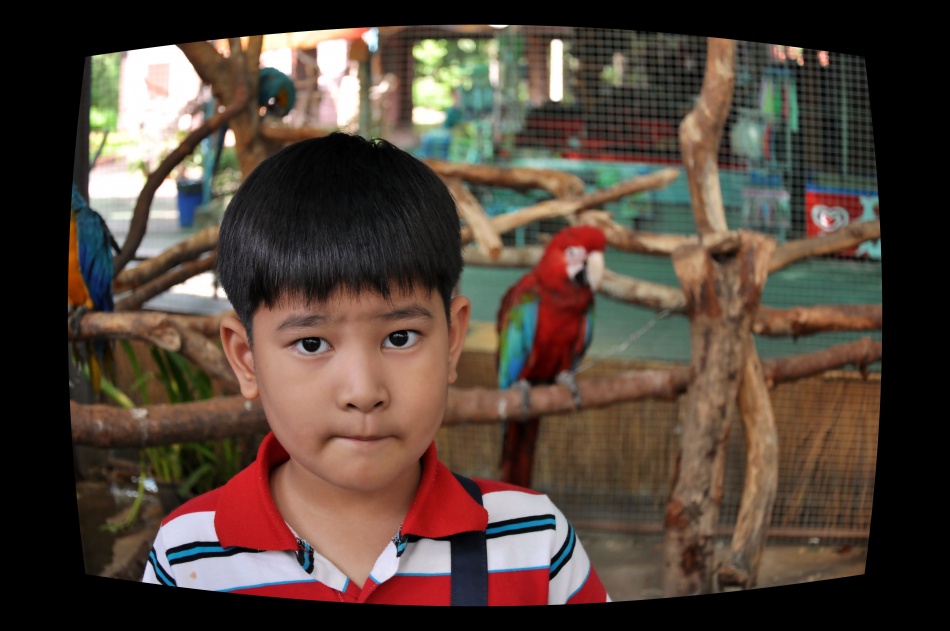 ชื่อ:  DSC_0637.jpg
ครั้ง: 281
ขนาด:  149.9 กิโลไบต์