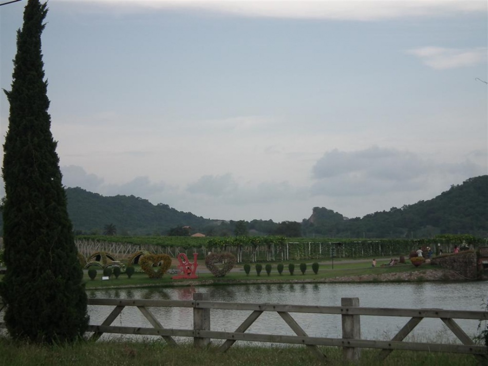 ชื่อ:  DSCF0860 (Large).jpg
ครั้ง: 244
ขนาด:  137.7 กิโลไบต์