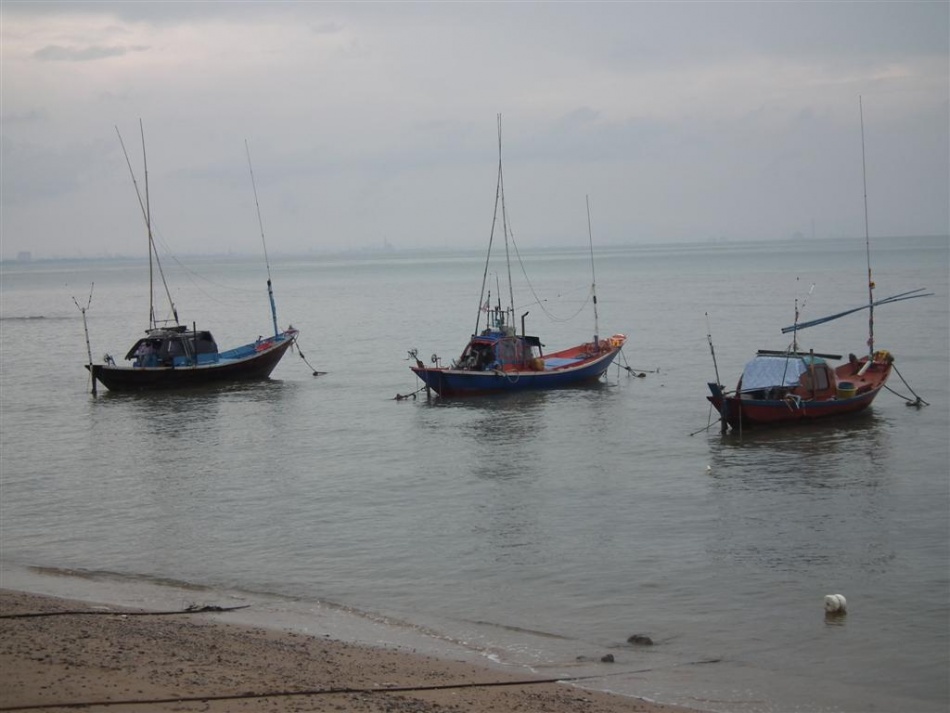 ชื่อ:  DSCF0879 (Large).jpg
ครั้ง: 249
ขนาด:  140.2 กิโลไบต์