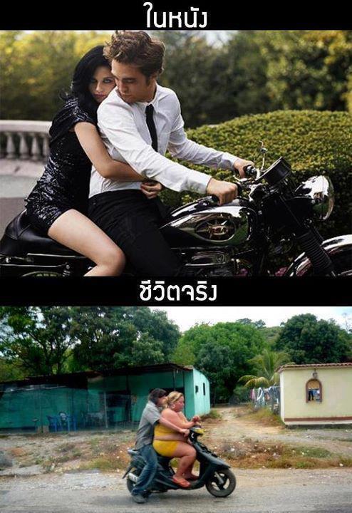ชื่อ:  ชีวิตจริง.jpg
ครั้ง: 1296
ขนาด:  68.3 กิโลไบต์