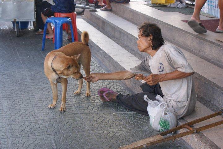 ชื่อ:  4dog.jpg
ครั้ง: 506
ขนาด:  65.3 กิโลไบต์