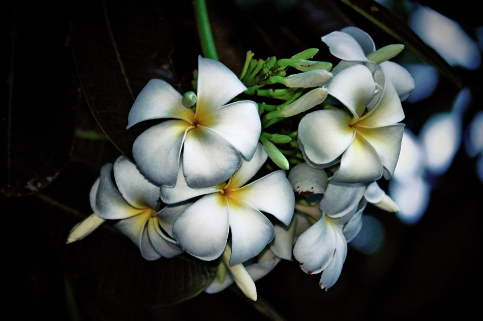 ชื่อ:  DSC_8086_fhdr.jpg
ครั้ง: 826
ขนาด:  138.4 กิโลไบต์