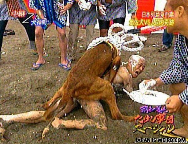 ชื่อ:  dog2.jpg
ครั้ง: 1035
ขนาด:  70.3 กิโลไบต์