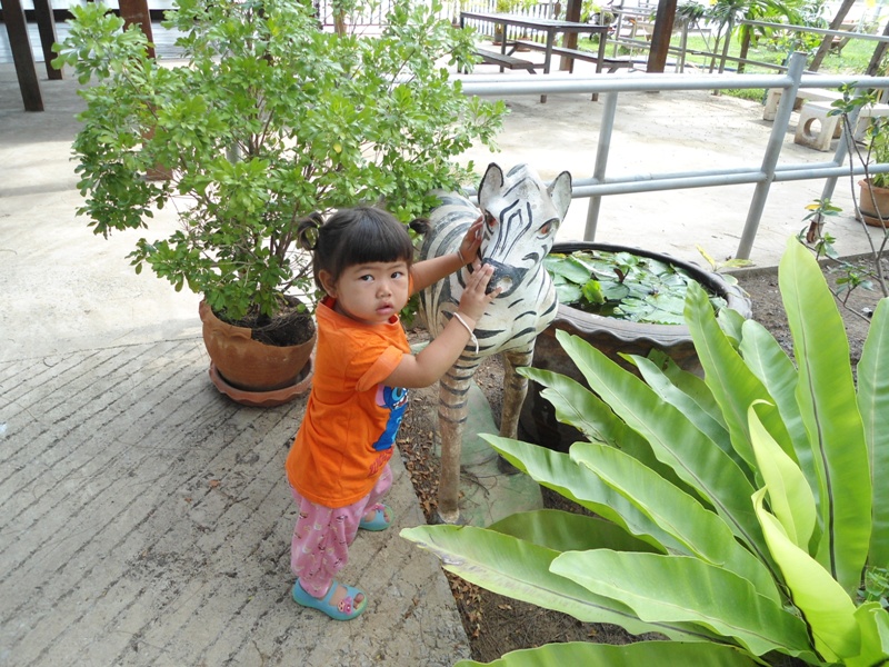 ชื่อ:  DSC02519.JPG
ครั้ง: 413
ขนาด:  266.0 กิโลไบต์
