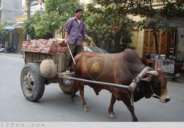 ชื่อ:  lambo.jpg
ครั้ง: 7792
ขนาด:  44.7 กิโลไบต์