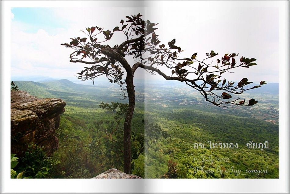 ชื่อ:  7.jpg
ครั้ง: 835
ขนาด:  246.8 กิโลไบต์