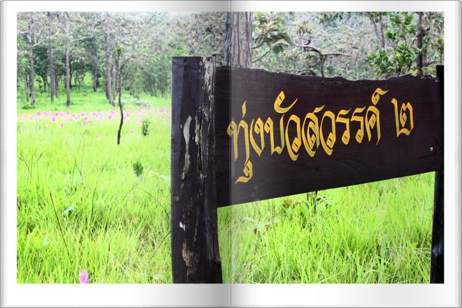 ชื่อ:  17.jpg
ครั้ง: 687
ขนาด:  247.9 กิโลไบต์