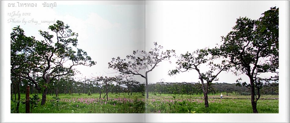 ชื่อ:  13.jpg
ครั้ง: 688
ขนาด:  182.8 กิโลไบต์