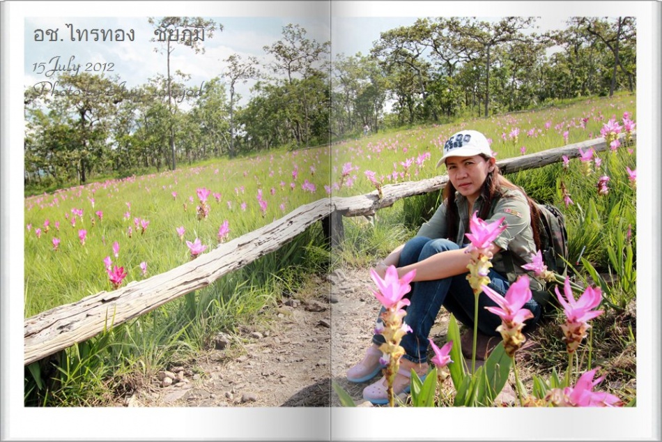 ชื่อ:  30.jpg
ครั้ง: 660
ขนาด:  304.3 กิโลไบต์