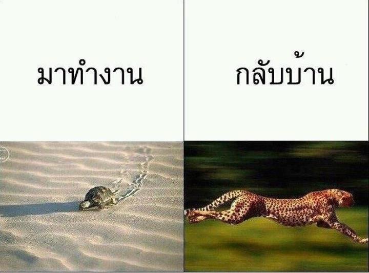 ชื่อ:  548145_409974185715524_183970501_n.jpg
ครั้ง: 422
ขนาด:  46.4 กิโลไบต์