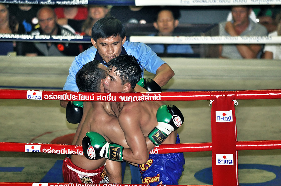 ชื่อ:  DSC_0259.jpg
ครั้ง: 643
ขนาด:  189.4 กิโลไบต์