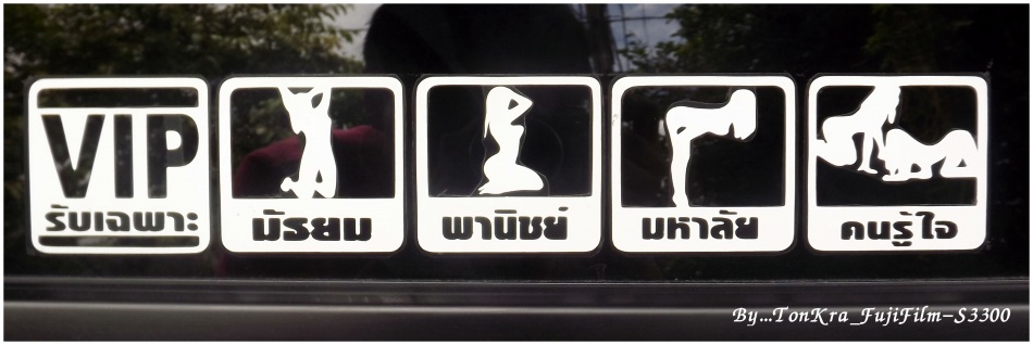 ชื่อ:  DSCF5392.jpg
ครั้ง: 2827
ขนาด:  98.1 กิโลไบต์