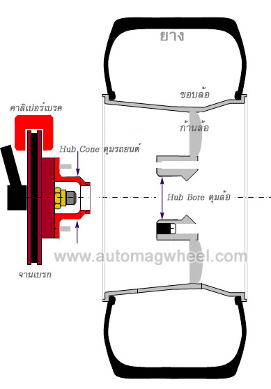ชื่อ:  Wheel-Section-2.jpg
ครั้ง: 1006
ขนาด:  29.6 กิโลไบต์