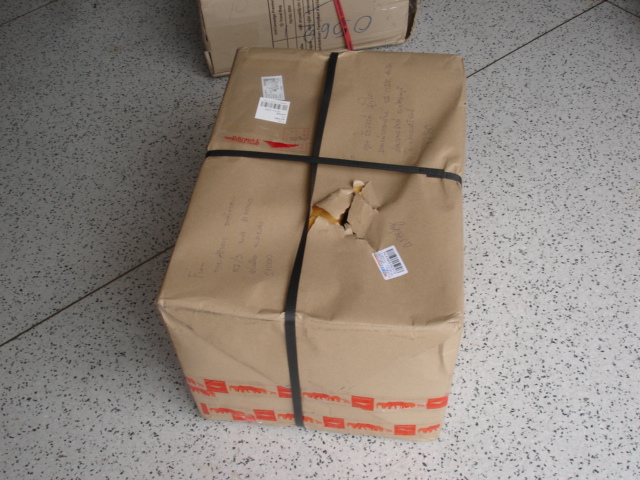 ชื่อ:  DSC01926.JPG
ครั้ง: 568
ขนาด:  154.2 กิโลไบต์
