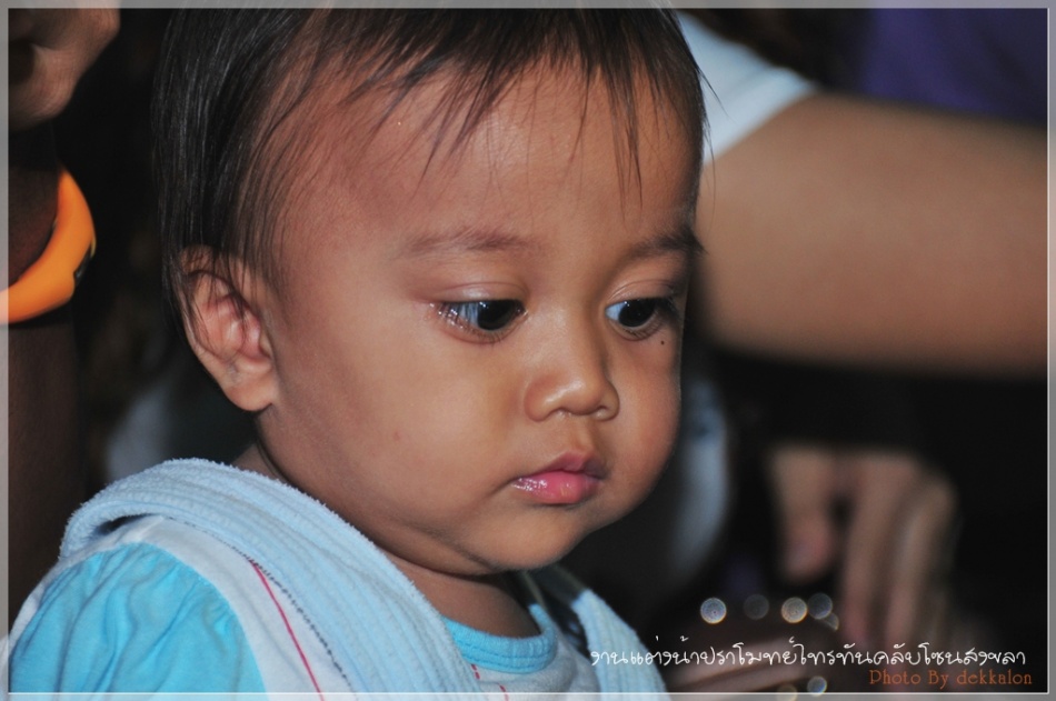 ชื่อ:  DSC_4218.jpg
ครั้ง: 226
ขนาด:  148.6 กิโลไบต์