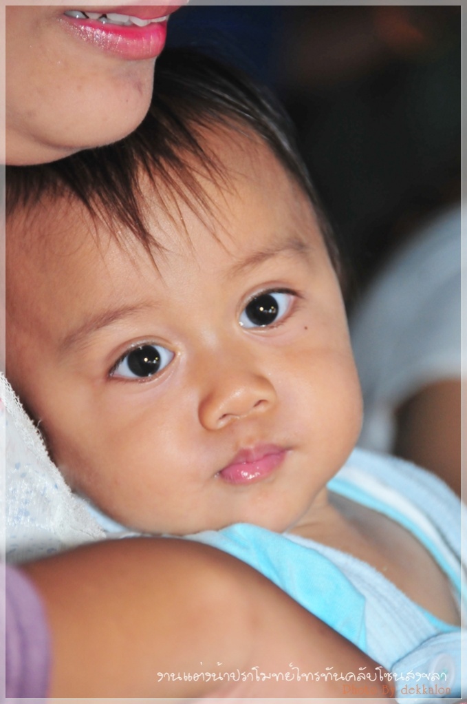 ชื่อ:  DSC_4234.jpg
ครั้ง: 261
ขนาด:  148.0 กิโลไบต์