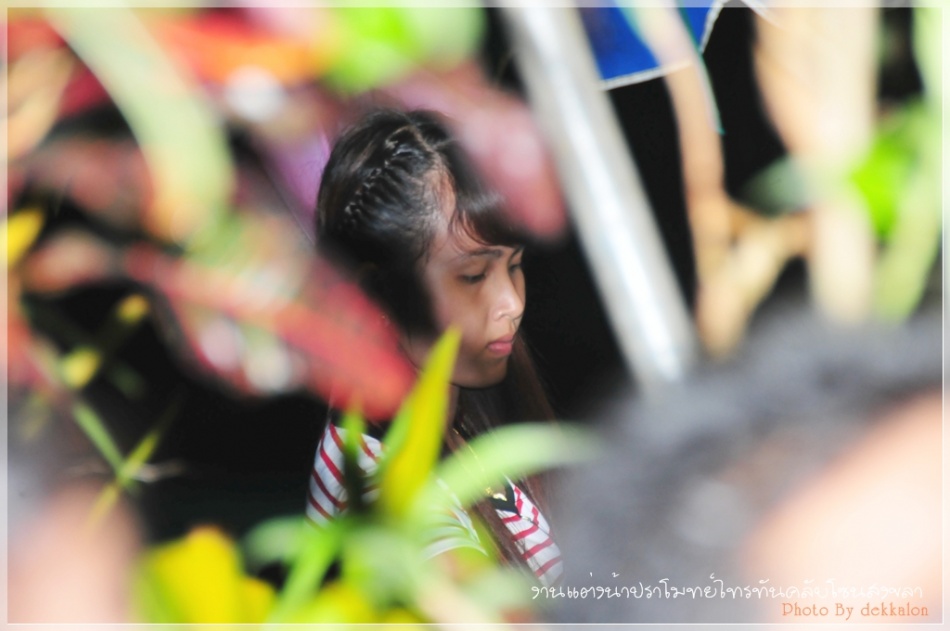 ชื่อ:  DSC_4268.jpg
ครั้ง: 261
ขนาด:  123.6 กิโลไบต์