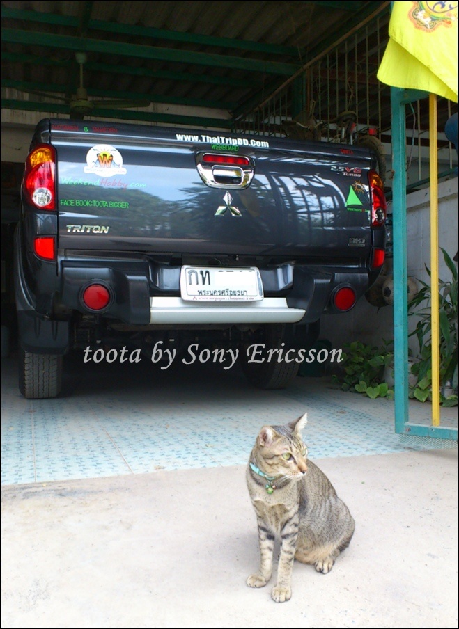 ชื่อ:  DSC_0830zzzz.jpg
ครั้ง: 242
ขนาด:  207.8 กิโลไบต์