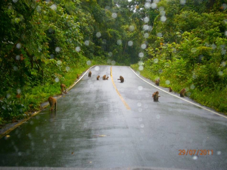 ชื่อ:  P7290216.jpg
ครั้ง: 1538
ขนาด:  244.0 กิโลไบต์