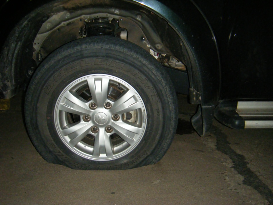 ชื่อ:  DSCF6259.jpg
ครั้ง: 1572
ขนาด:  191.6 กิโลไบต์