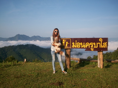 ชื่อ:  100_1529.JPG
ครั้ง: 491
ขนาด:  66.4 กิโลไบต์