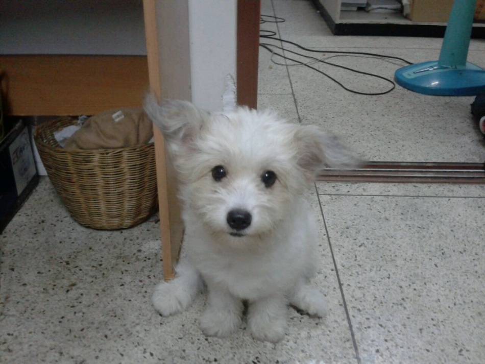 ชื่อ:  2012-11-28 17.22.54.jpg
ครั้ง: 1089
ขนาด:  192.8 กิโลไบต์