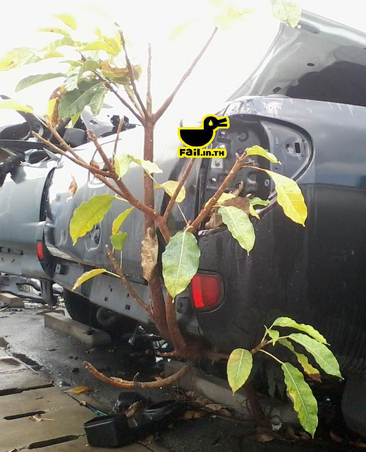ชื่อ:  8200803623_3400ec5675_z.jpg
ครั้ง: 595
ขนาด:  172.3 กิโลไบต์