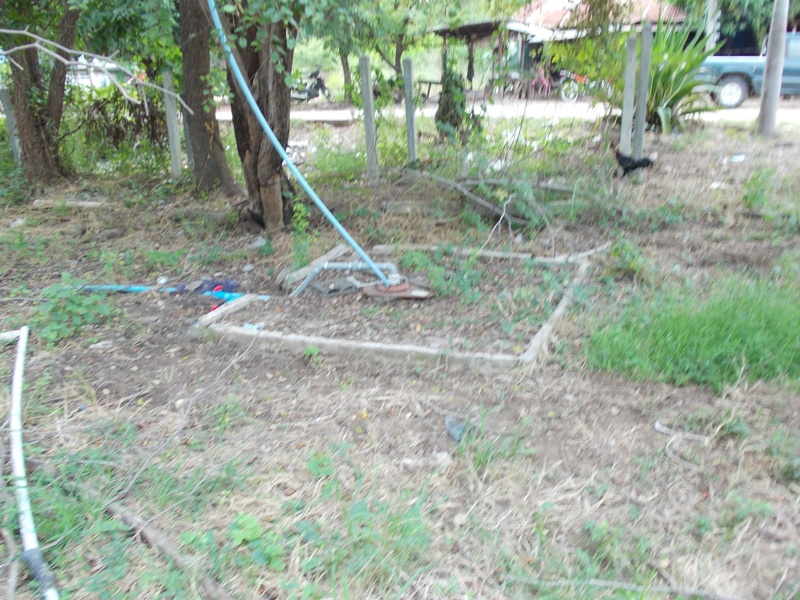 ชื่อ:  DSCN0056.JPG
ครั้ง: 1389
ขนาด:  246.2 กิโลไบต์