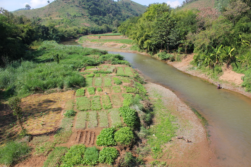 ชื่อ:  IMG_7074_resize.JPG
ครั้ง: 126
ขนาด:  284.0 กิโลไบต์
