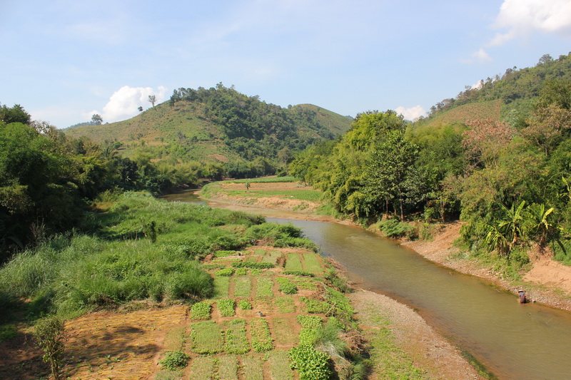 ชื่อ:  IMG_7075_resize.JPG
ครั้ง: 136
ขนาด:  223.5 กิโลไบต์