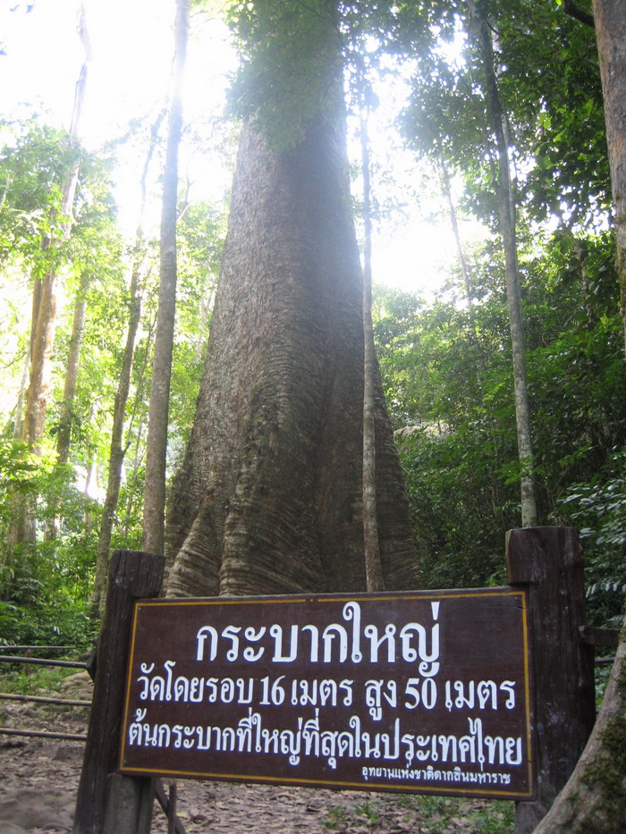ชื่อ:  Picture 266.jpg
ครั้ง: 876
ขนาด:  267.0 กิโลไบต์