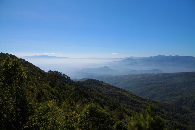 ชื่อ:  IMG_0955 (640x427).jpg
ครั้ง: 647
ขนาด:  170.4 กิโลไบต์