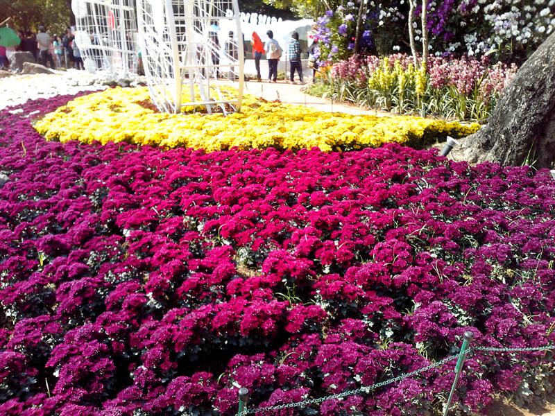 ชื่อ:  IMG_20121228_130210 (Medium).jpg
ครั้ง: 1005
ขนาด:  180.6 กิโลไบต์