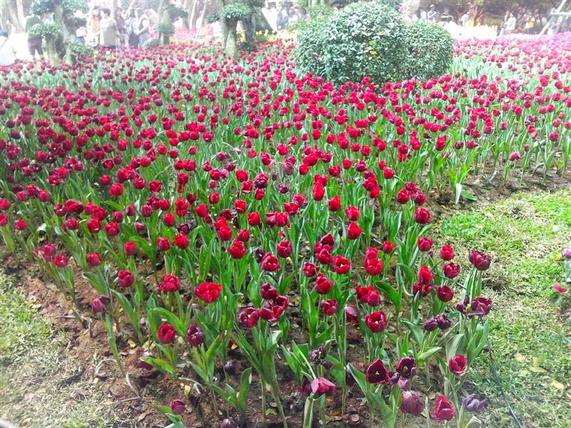 ชื่อ:  IMG_20121230_191117 (Medium).jpg
ครั้ง: 449
ขนาด:  169.1 กิโลไบต์