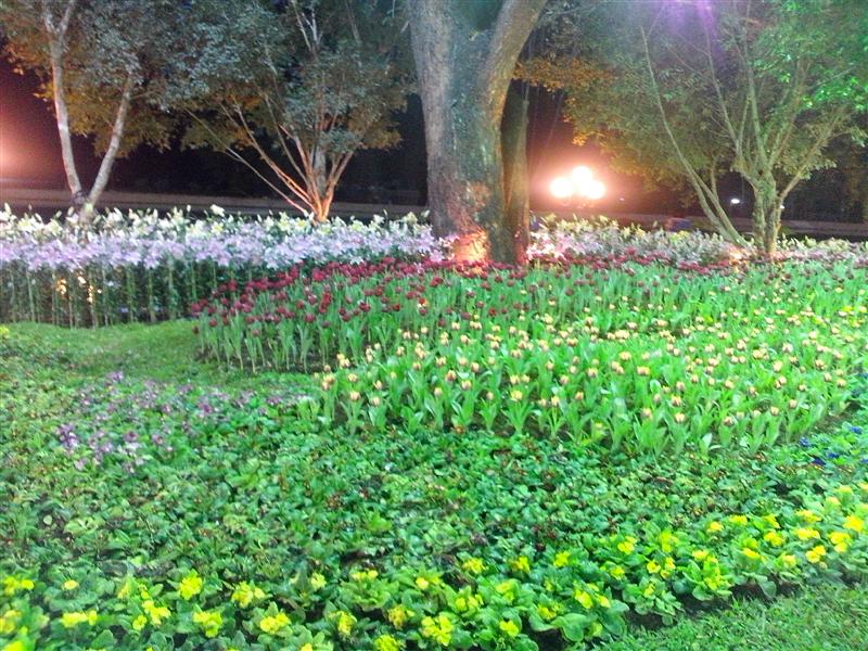 ชื่อ:  IMG_20121230_191654 (Medium).jpg
ครั้ง: 413
ขนาด:  140.5 กิโลไบต์