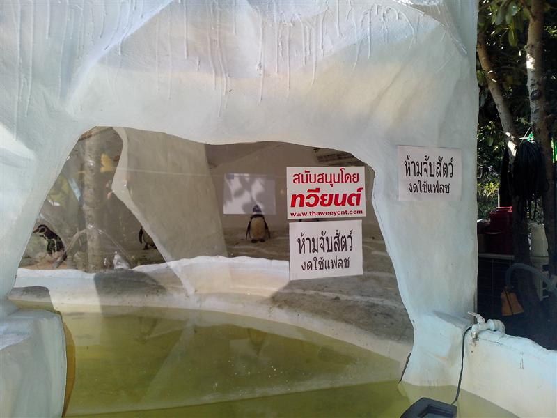 ชื่อ:  IMG_20121228_131102 (Medium).jpg
ครั้ง: 402
ขนาด:  61.5 กิโลไบต์
