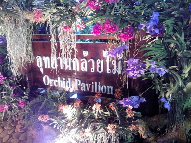 ชื่อ:  IMG_20121230_193748 (Medium).jpg
ครั้ง: 417
ขนาด:  135.6 กิโลไบต์