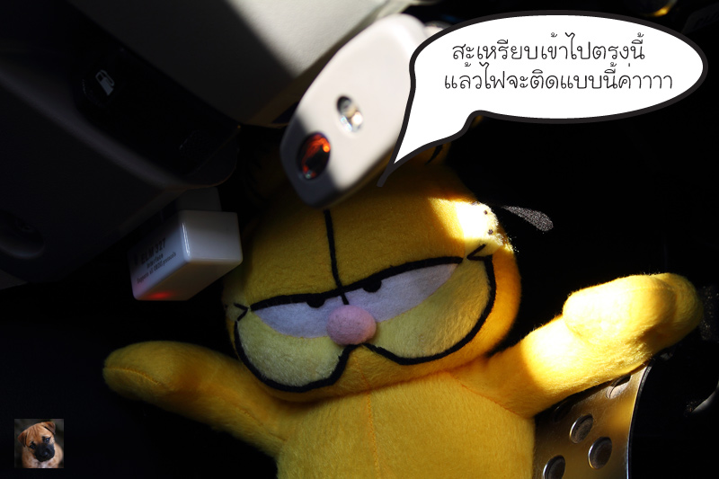 ชื่อ:  IMG_3350.jpg
ครั้ง: 530
ขนาด:  123.2 กิโลไบต์