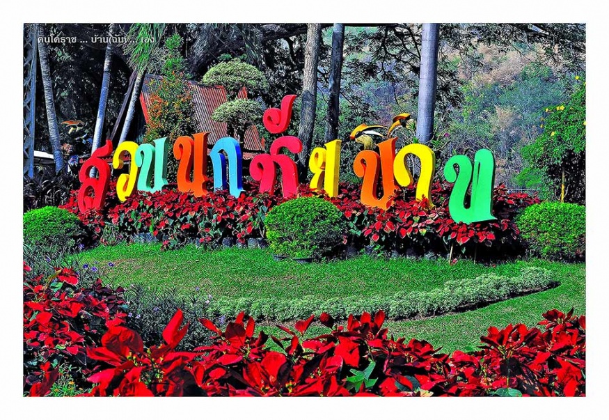 ชื่อ:  9450.jpg
ครั้ง: 1203
ขนาด:  363.9 กิโลไบต์
