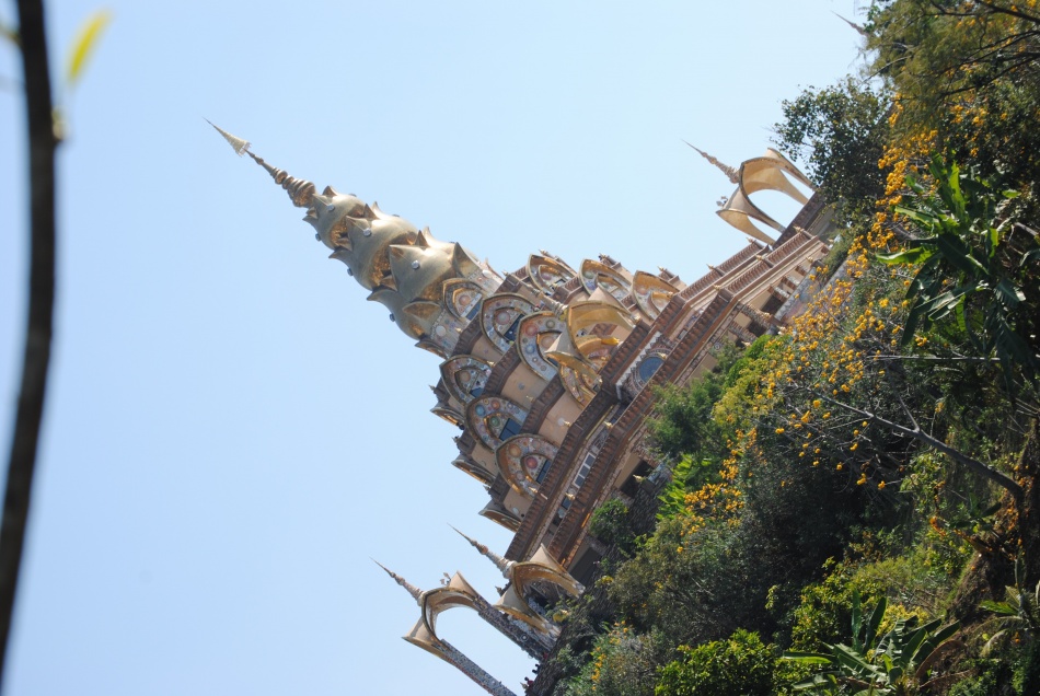 ชื่อ:  DSC_0568.jpg
ครั้ง: 461
ขนาด:  218.4 กิโลไบต์